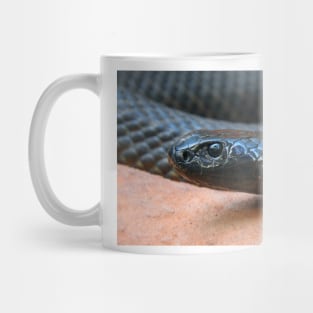 Inland Taipan Mug